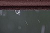 regen bei sonnenschein (11.9.2014) - (c) r pattke.jpg